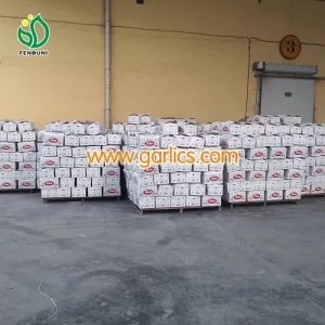 china_garlic_warehouse