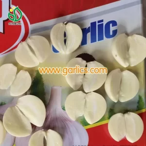 normal_white_garlic_a_fresh_garlic