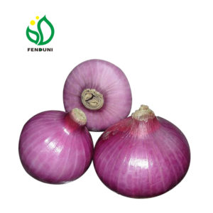 red onion