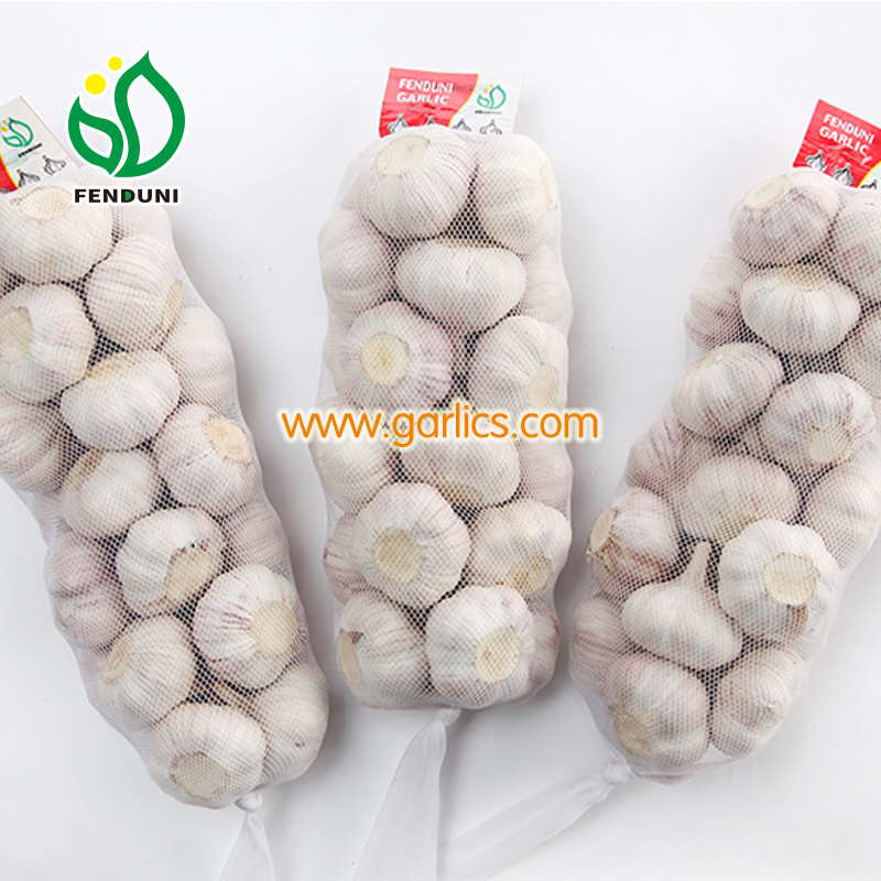 Farmvest - Garlic bag - Farmvest Products