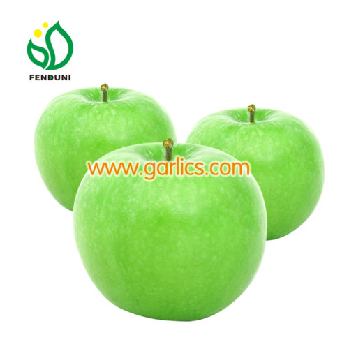 APPLE PRODUCTION - COPA - COOPERATIVE OF PANNONIAN APPLES D.O.O.