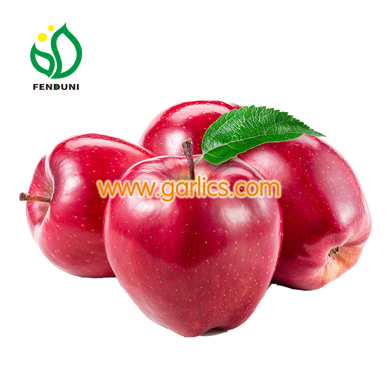 Fresh Chinese Red Paper Bagged FUJI Apples - China Fresh Apple, Apples
