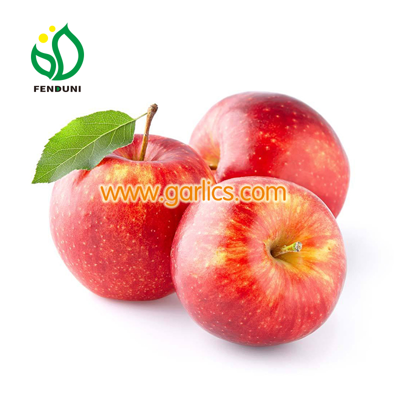 Organic Gala Apples from China, Gala Apple Wholesale