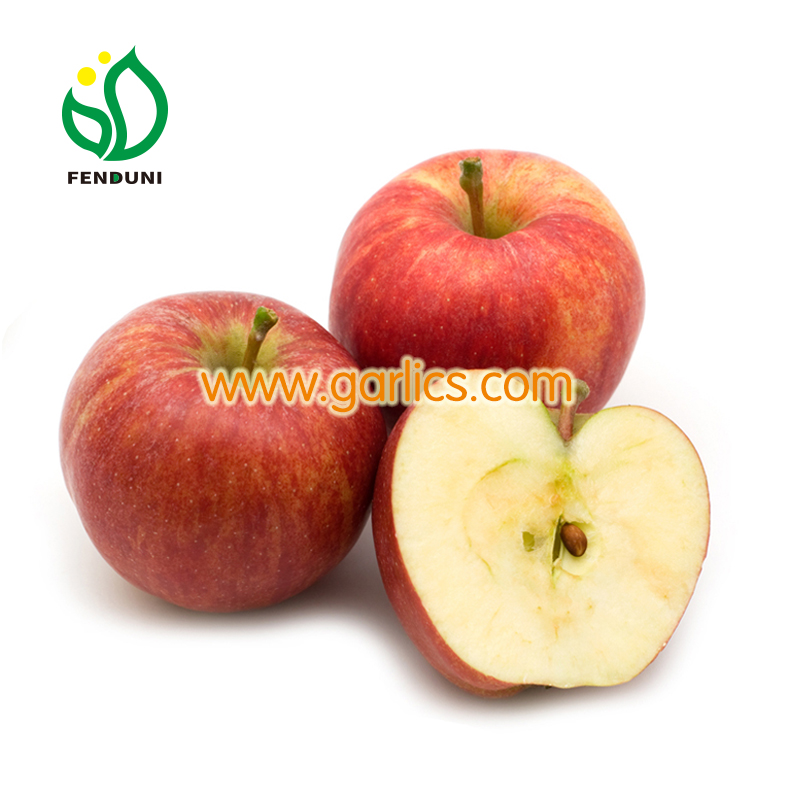 Organic Gala Apples, Large, Organic Fruits