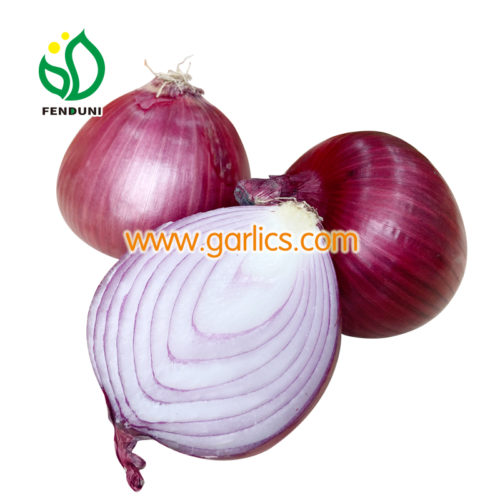 https://garlics.com/wp-content/uploads/2020/11/FENDUNI-onion20201119-6-500x500.jpg