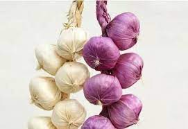 purple garlic