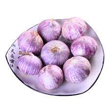 garlic purple