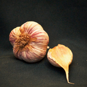 Chesnok Red garlic