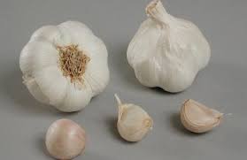 Thermidrome garlic