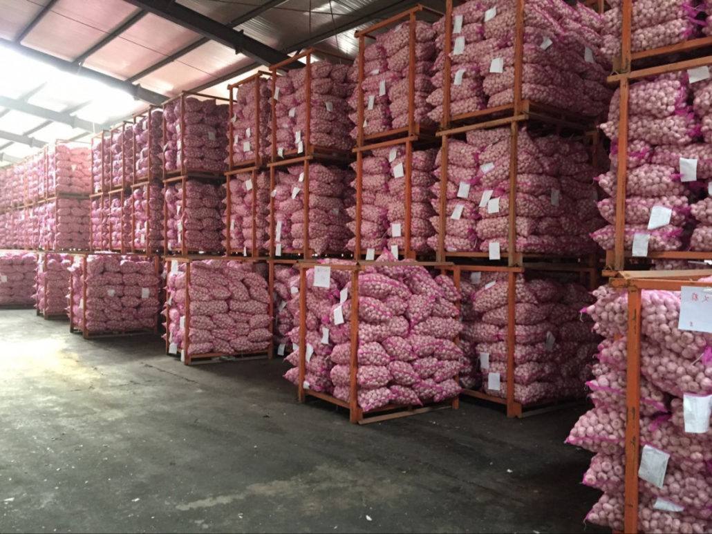garlic warehouse2