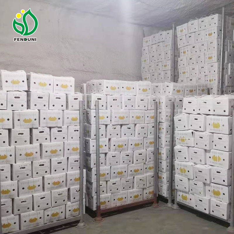 China garlic export