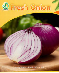 Onion china