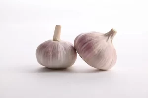 purple_garlic