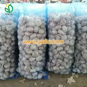 white_garlic_pure_garlic_for_sale