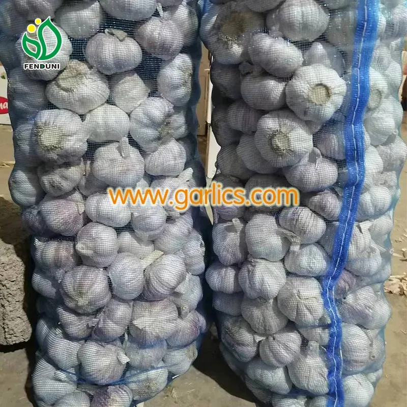china_pure_skin_garlic_wholesale_a