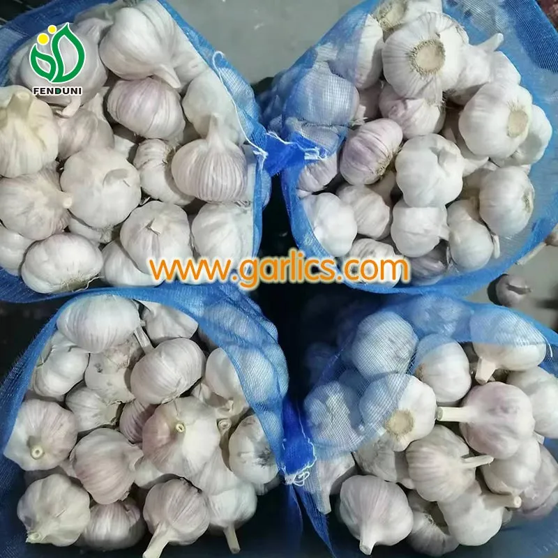 china_pure_skin_garlic_wholesale_b