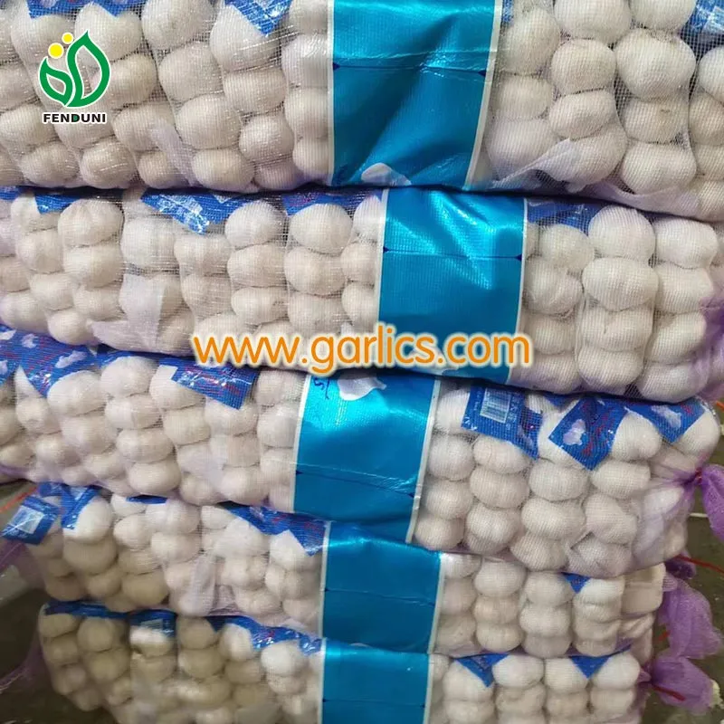 garlic_Manufacturer_From_China_b