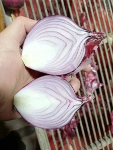 are_red_onions_good_for_you