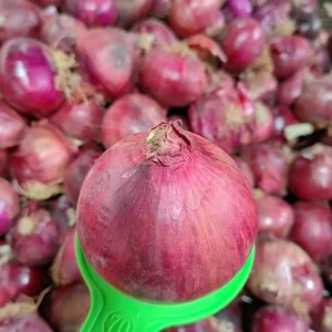 nutrition_of_red_onion