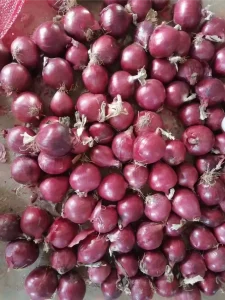 red_onion_nutritional_information