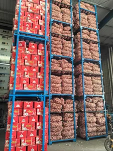 China-garlic-supplier