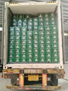 garlic bulb suppliers