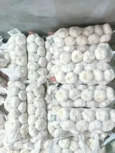 Pemasok bawang putih jining jinxiang Cina