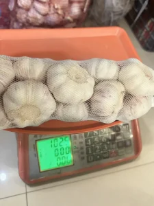 чеснок оптом