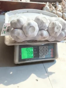 生ニンニク卸売り