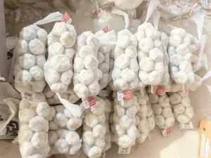 produsen bawang putih