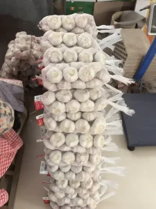 garlic supplier