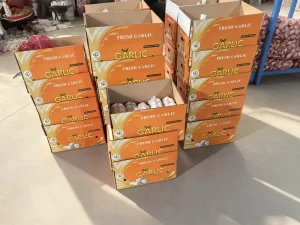 цепочка поставок чеснока