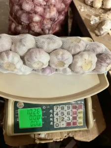 eksportir bawang putih jinxiang