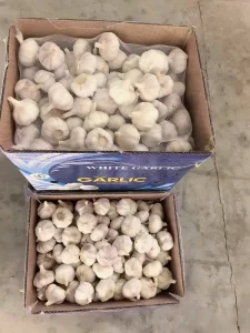 Bawang putih curah