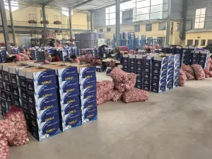 Commande d'ail en vrac