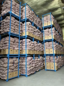 Conformité des exportations d'ail