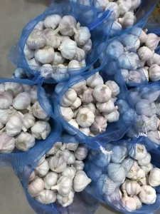 Garlic packaging supplier