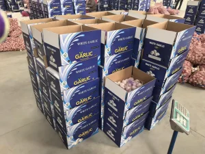 Especialista em compras de alho
