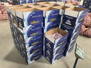 Daftar pemasok bawang putih