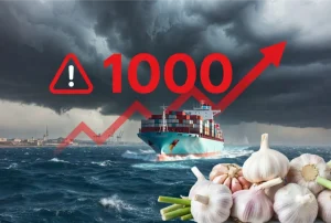 中東紛争が世界の海上貨物を$1,000以上押し上げる - ニンニクへの影響