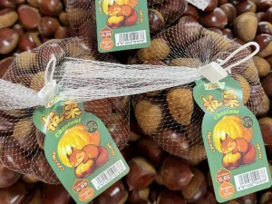 kacang kastanye mentah yang segar