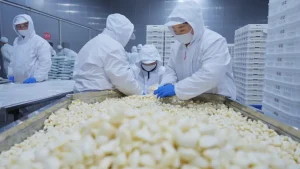 peeled fresh garlic supplier